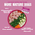 Load image into Gallery viewer, Barking Heads Golden Years Wet Food for Senior Dogs - Chicken & Salmon 300g