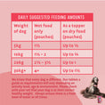 Load image into Gallery viewer, Barking Heads Hair Necessities Salmon Wet Dog Food - All Hounder 300g