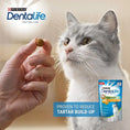 Load image into Gallery viewer, Purina DENTALIFE Everyday Dental Oral Care Chicken Cat Treats