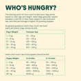 Load image into Gallery viewer, Bella + Duke Adult Complete Chicken 500g
