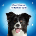 Load image into Gallery viewer, Purina Dentalife Daily Oral Care Dental Chews for Medium Dogs 15pk
