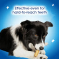 Load image into Gallery viewer, Purina Dentalife Daily Oral Care Dental Chews for Large Dogs 12pk
