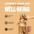 Load image into Gallery viewer, Barking Heads Bowl Lickin' Goodness Chicken Wet Dog Food - All Hounder 300g
