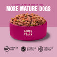 Load image into Gallery viewer, Barking Heads Golden Years Wet Food for Senior Dogs - Chicken & Salmon 300g
