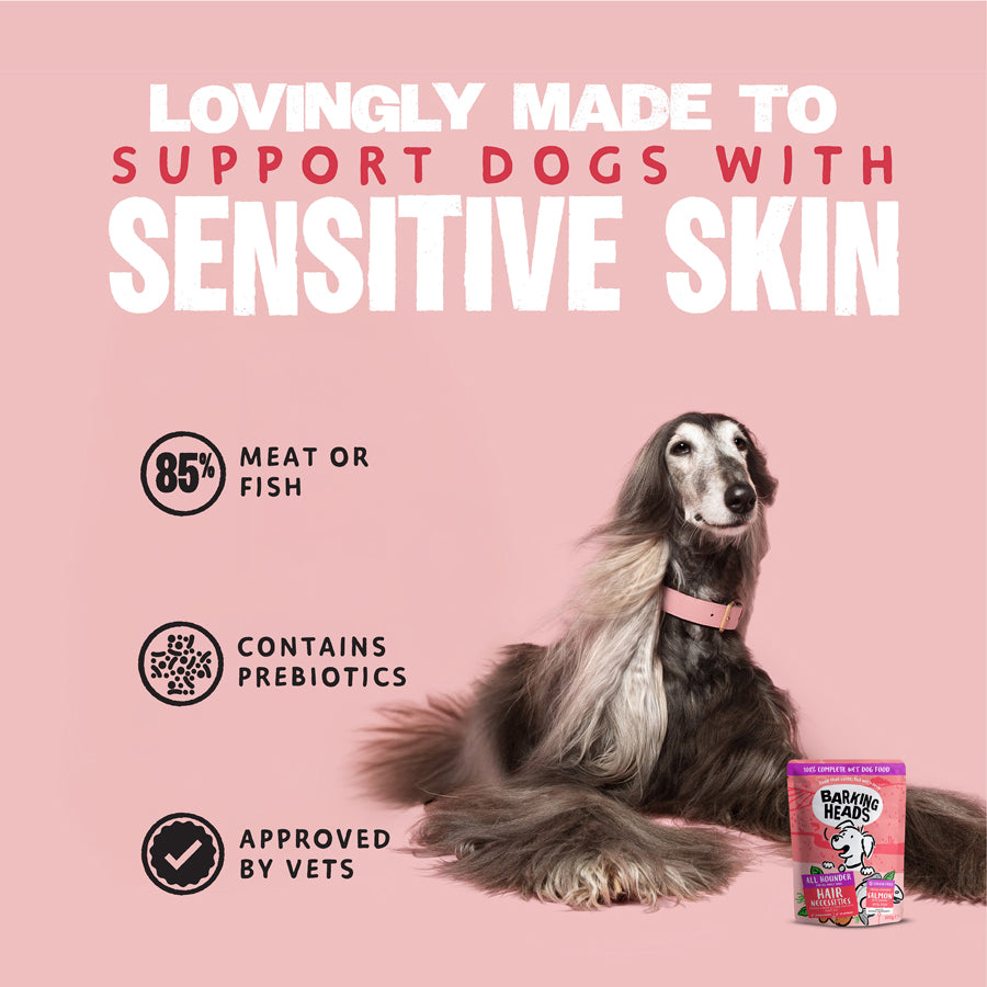 Barking Heads Hair Necessities Salmon Wet Dog Food - All Hounder 300g