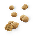 Load image into Gallery viewer, Purina DENTALIFE Everyday Dental Oral Care Chicken Cat Treats
