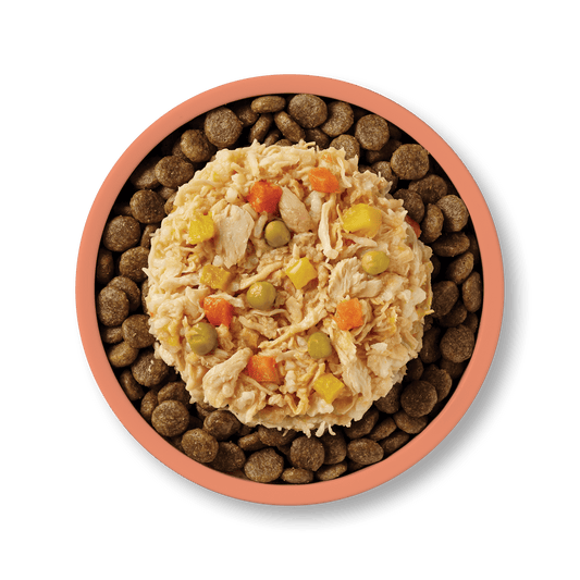 Applaws Taste Toppers Natural Wet Dog Food Chicken & Salmon 156g