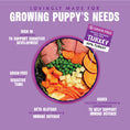 Load image into Gallery viewer, Barking Heads Puppy Days Turkey Dry Dog Food - All Hounder 2kg
