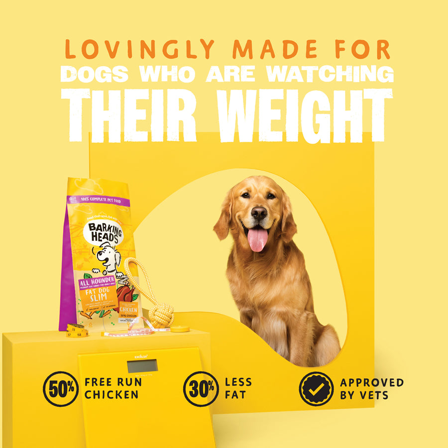 Barking Heads Fat Dog Slim Chicken Light Dry Dog Food - All Hounder
