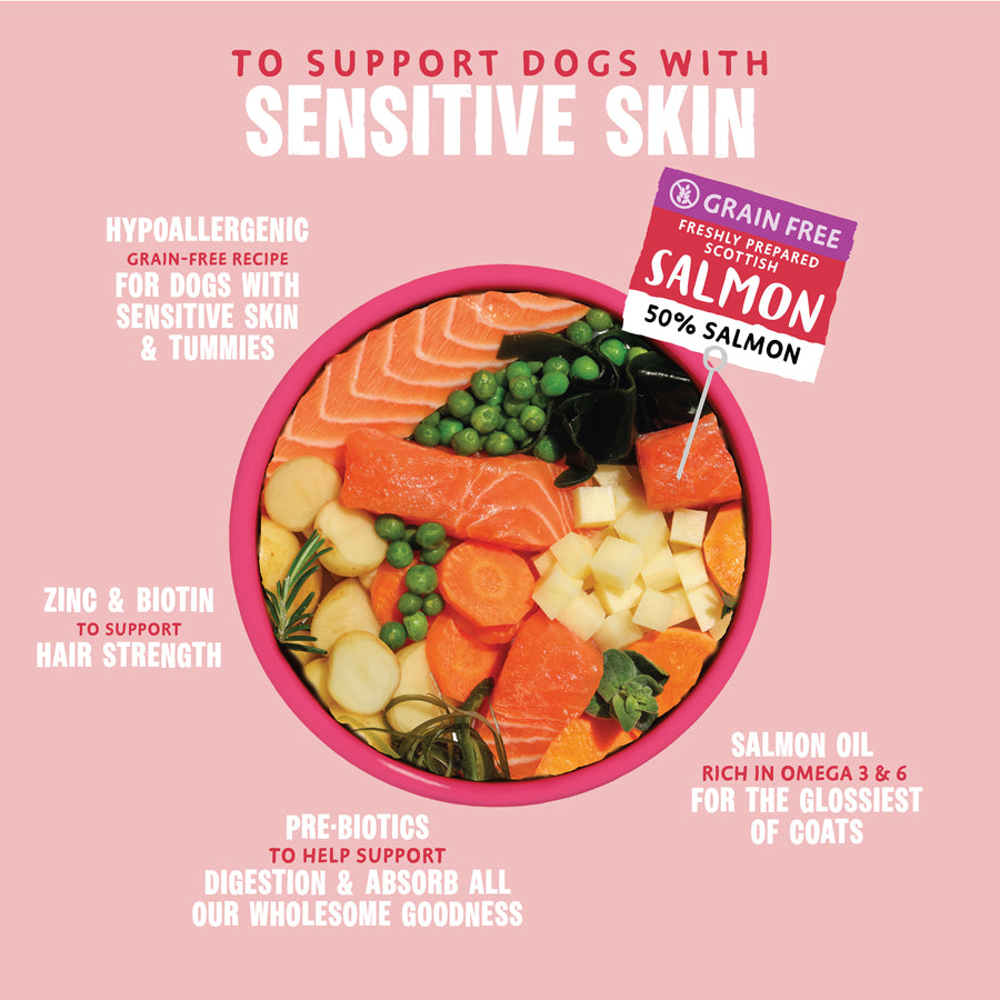 Barking Heads Hair Necessities Salmon Dry Dog Food - All Hounder