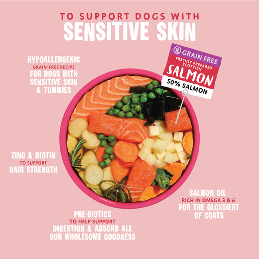 Barking Heads Hair Necessities Salmon Dry Dog Food - All Hounder