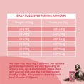 Load image into Gallery viewer, Barking Heads Hair Necessities Salmon Dry Dog Food - All Hounder
