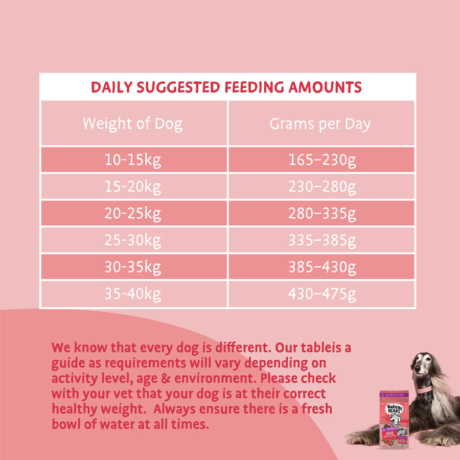 Barking Heads Hair Necessities Salmon Dry Dog Food - All Hounder