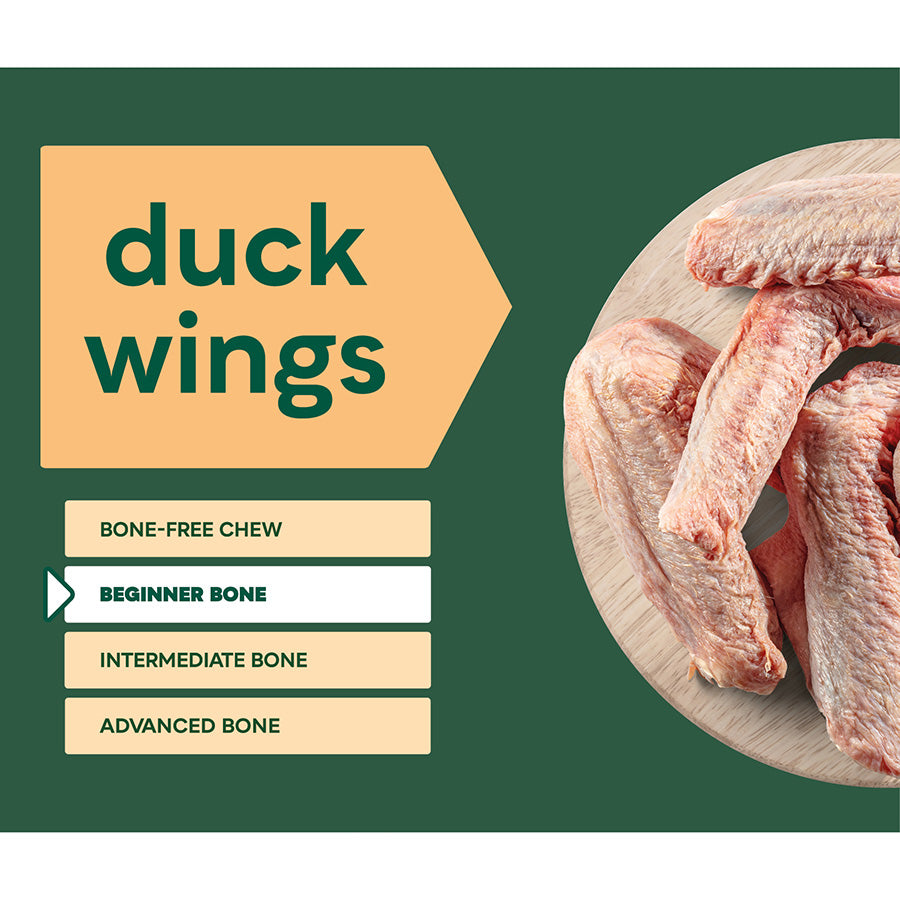 Natures Menu Frozen Treats - Duck Wings 5 Pieces