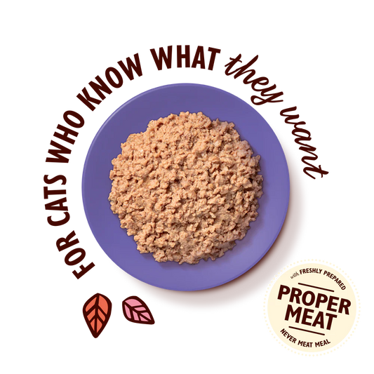 Lily's Kitchen Paté for Mature Cats Chicken 85g