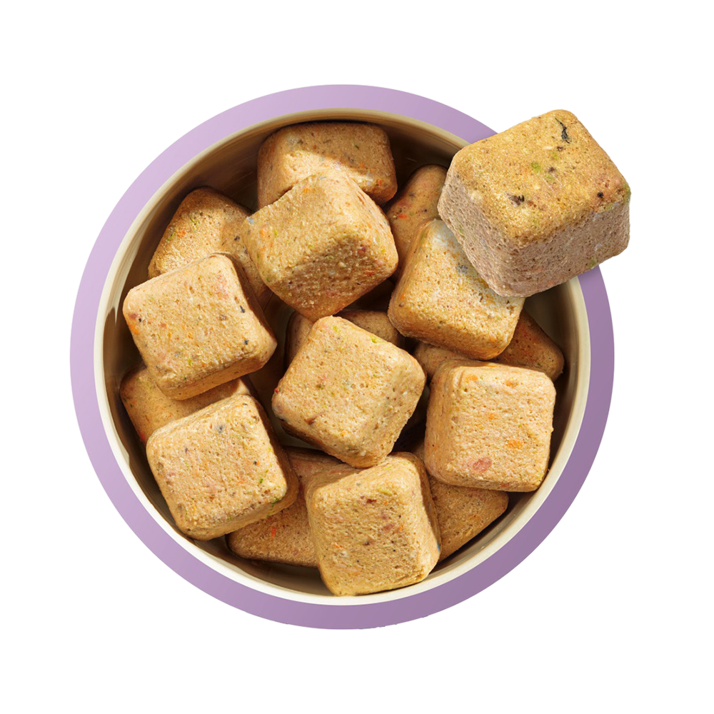 Natures Menu 80% Turkey & Fish for Puppies