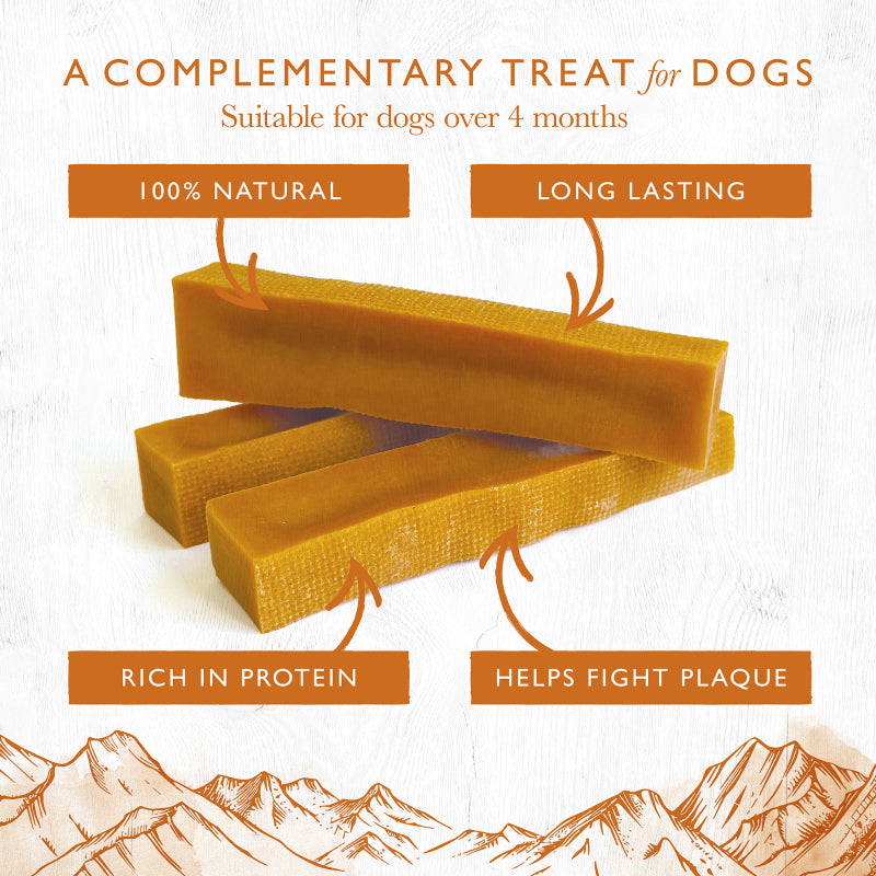 Eden Pumpkin Milk Chew Medium for Dogs