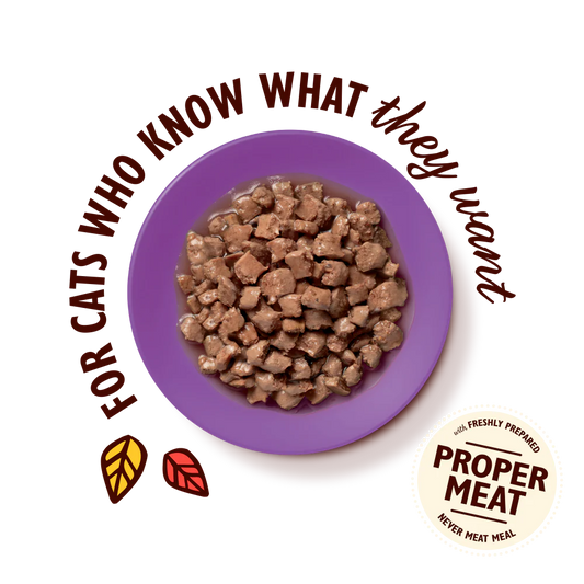 Lily's Kitchen Chicken & Fish for Mature Cats Tasty Cuts in Gravy 85g