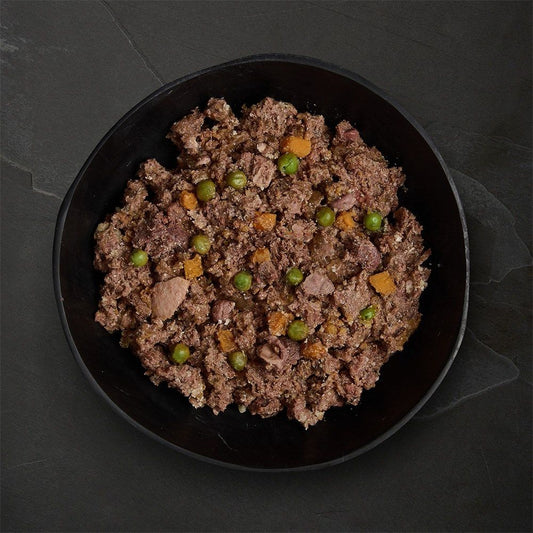 Canagan Beef Stew Wet Food Can 400g