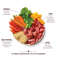 Load image into Gallery viewer, Lily's Kitchen Wet Dog Food Tray - Beef Goulash 150g

