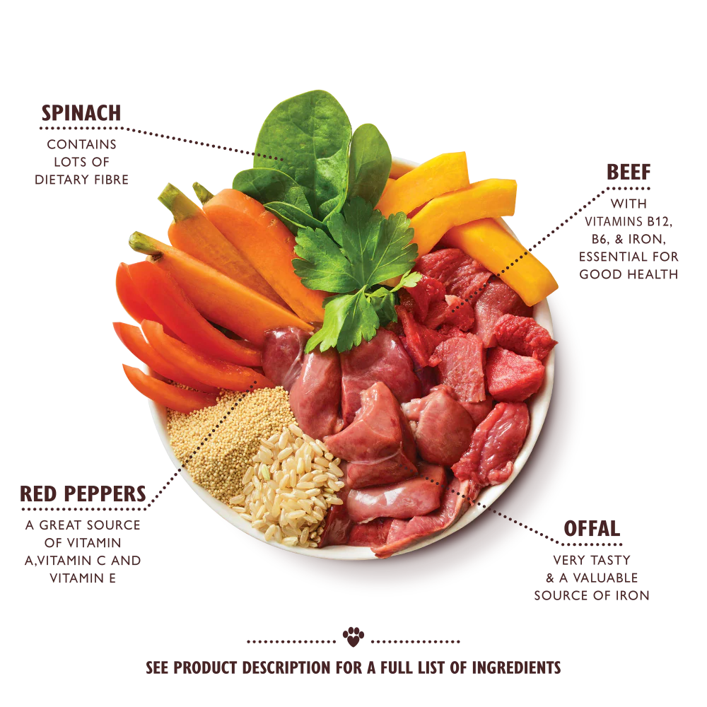 Lily's Kitchen Wet Dog Food Tray - Beef Goulash 150g