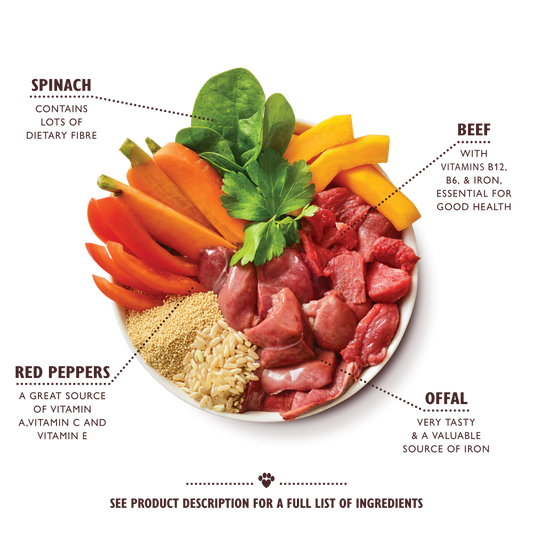 Lily's Kitchen Wet Dog Food Tray - Beef Goulash 150g