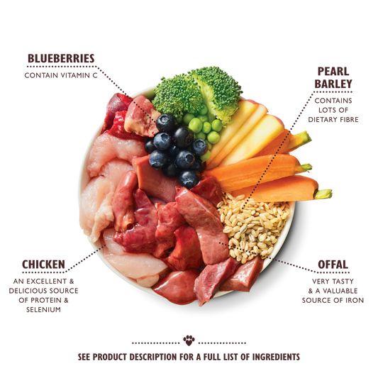 Lily's Kitchen Wet Dog Food - Homestyle Chicken & Turkey Casserole 400g