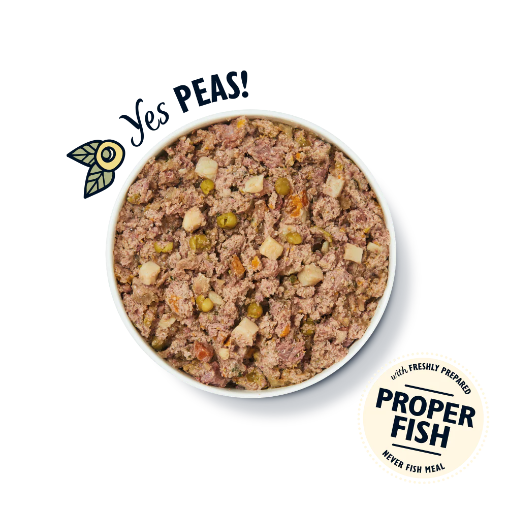 Lily's Kitchen Wet Dog Food Tray - Fishy Fish Pie w/ Peas 150g