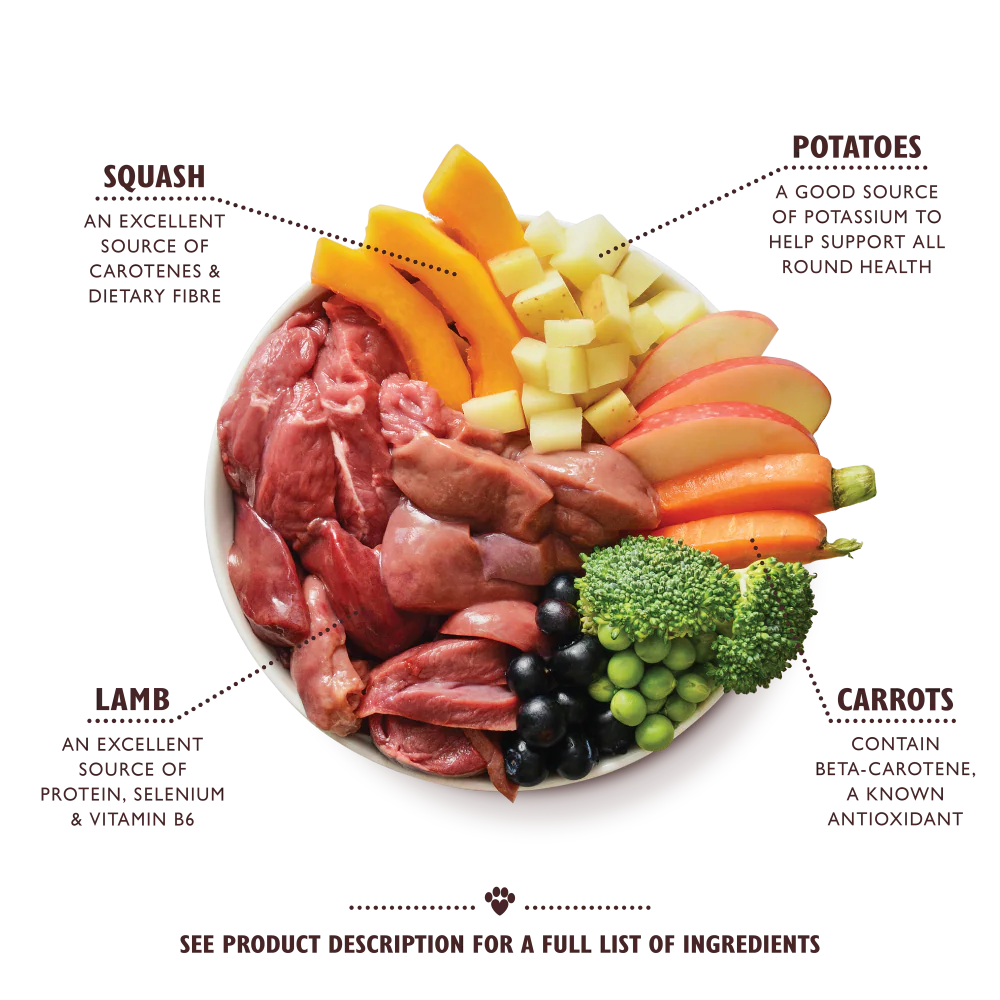 Lily's Kitchen Wet Dog Food - Slow Cooked Lamb Hotpot 400g