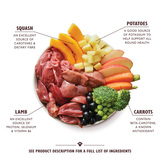 Lily's Kitchen Wet Dog Food - Slow Cooked Lamb Hotpot 400g
