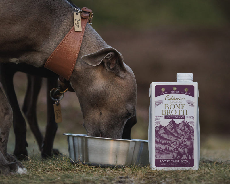 Eden Wild Venison Bone Broth for Cats & Dogs 500ml