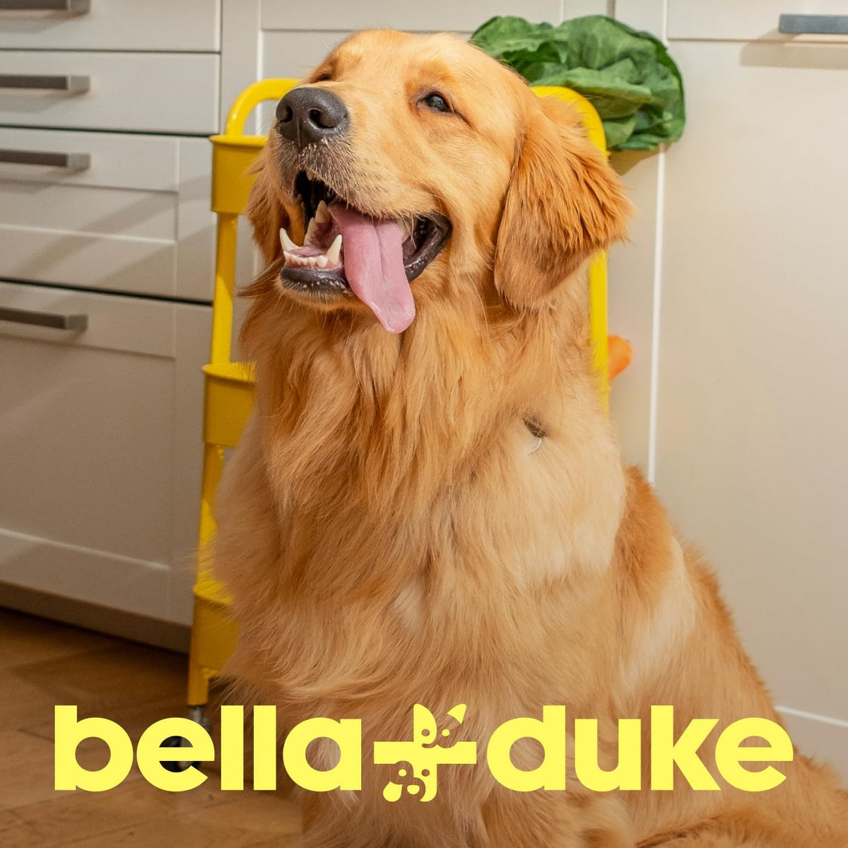 Bella + Duke Prime Ox Liver Treats 40g