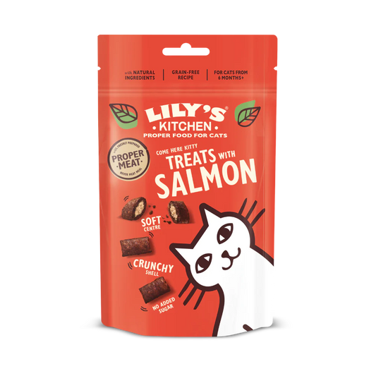 Lily's Kitchen Cat Pillow Treat Salmon 60g