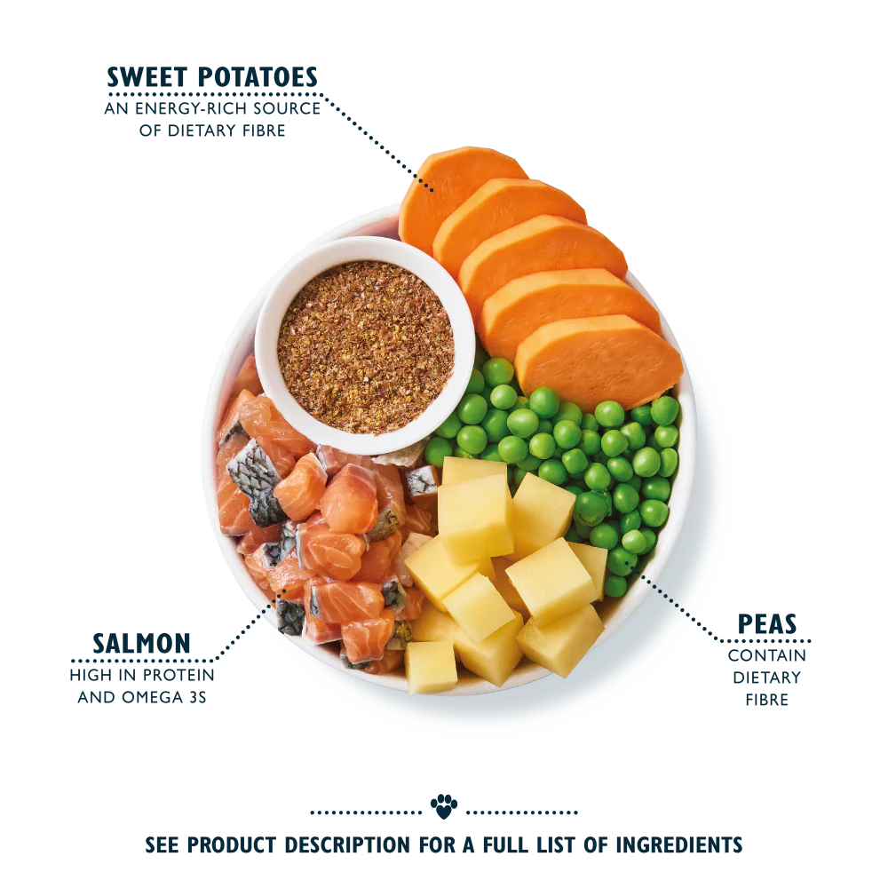 Lily's Kitchen Salmon Supper Dry Dog Food