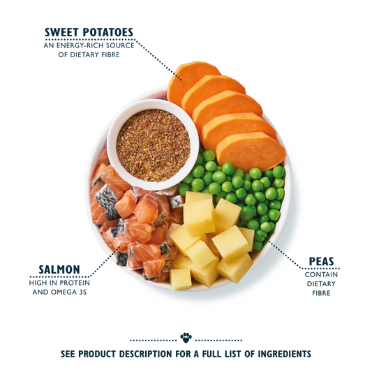 Lily's Kitchen Salmon Supper Dry Dog Food