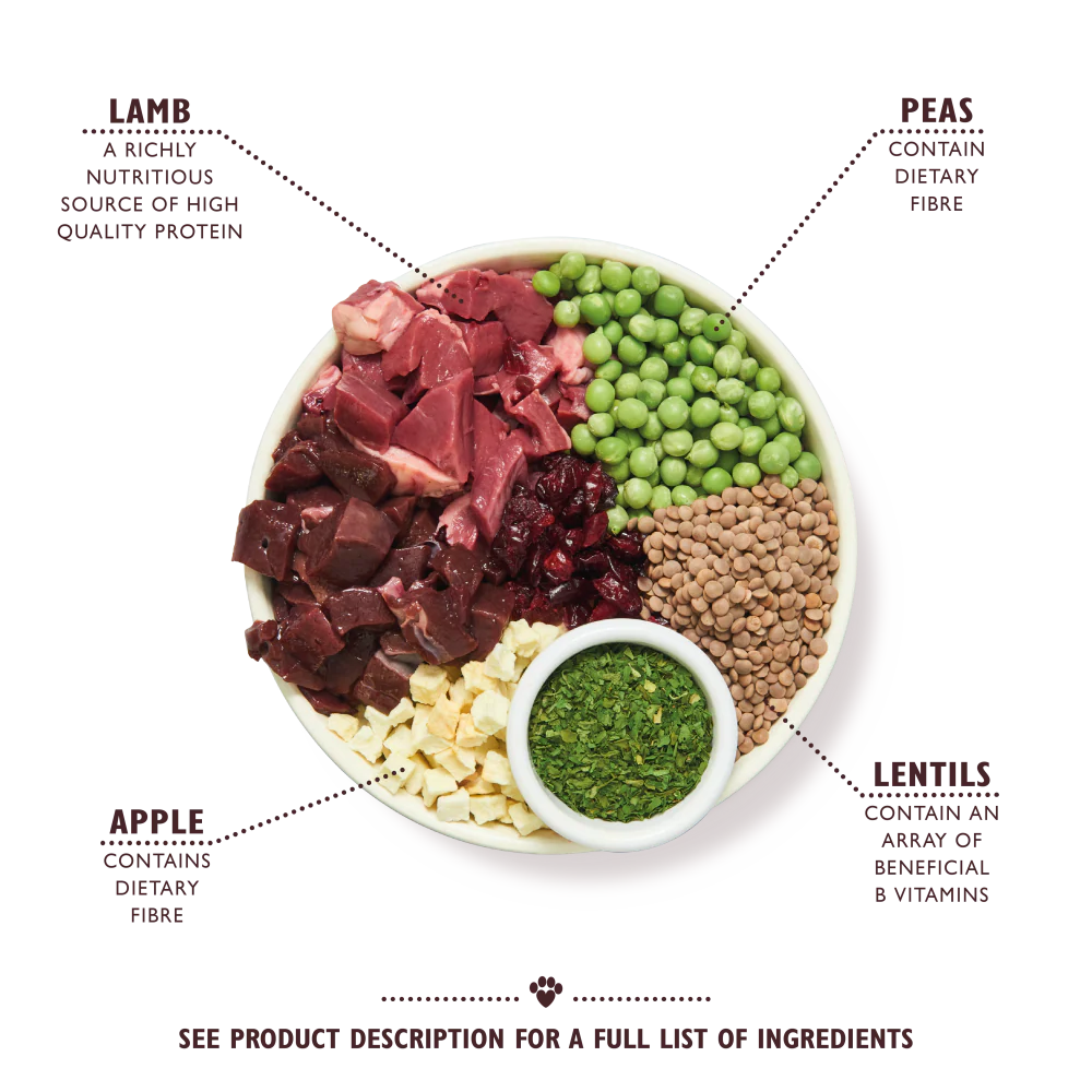 Lily's Kitchen Lamb Shepherd's Pie Dry Dog Food