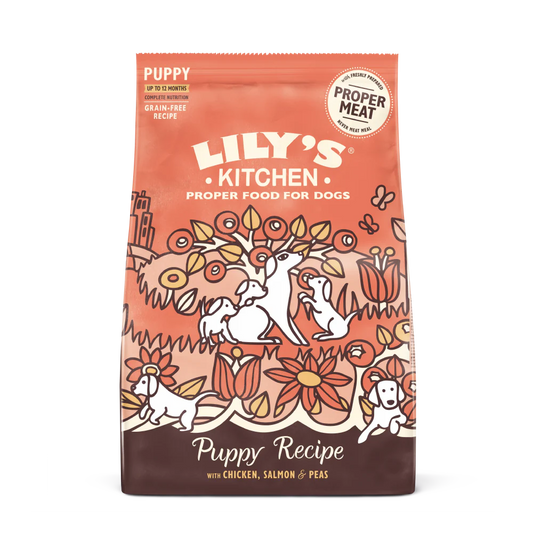 Lily's Kitchen Chicken & Salmon Puppy Dry Dog Food