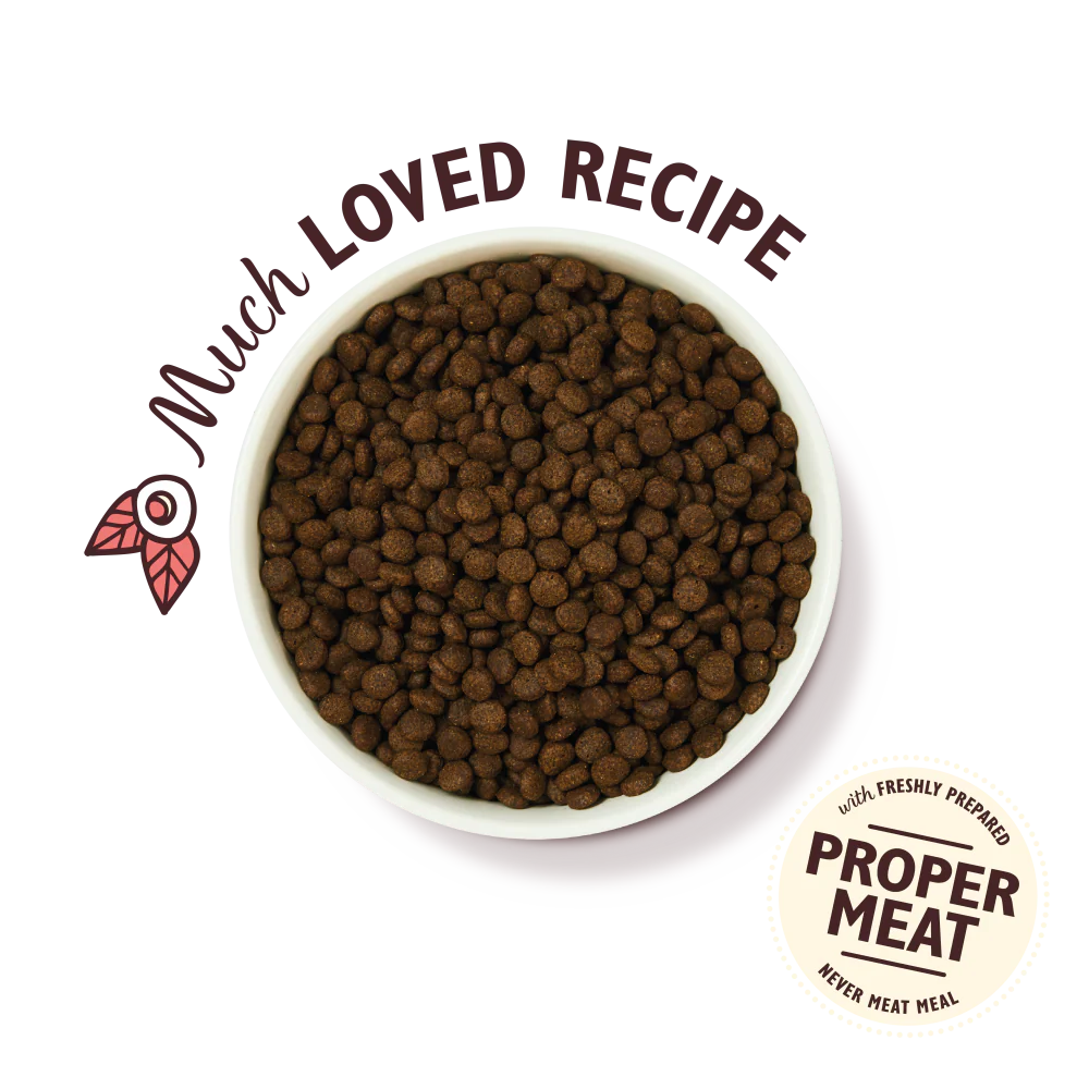 Lily's Kitchen Chicken & Salmon Puppy Dry Dog Food