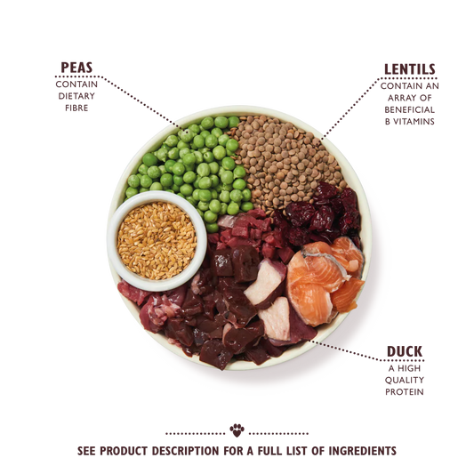 Lily's Kitchen Duck, Salmon & Venison Wild Woodland Walk Dry Dog Food
