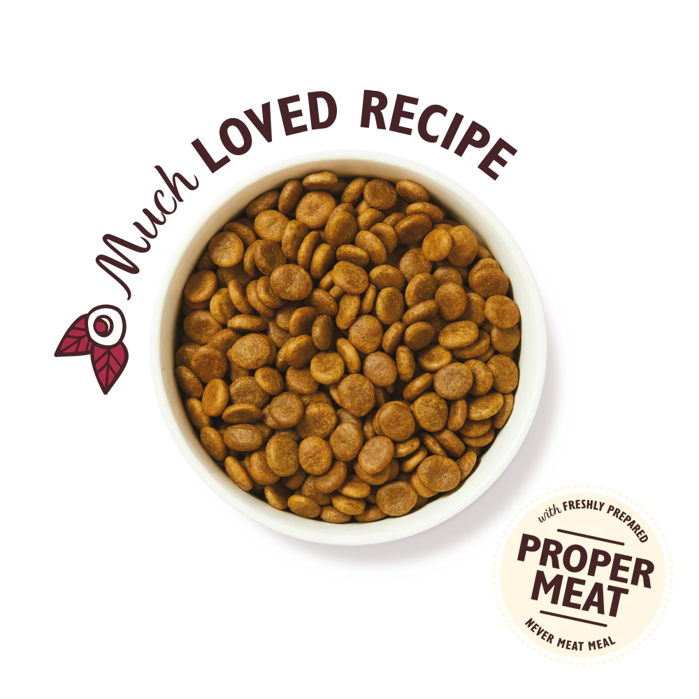 Lily's Kitchen Duck, Salmon & Venison Wild Woodland Walk Dry Dog Food