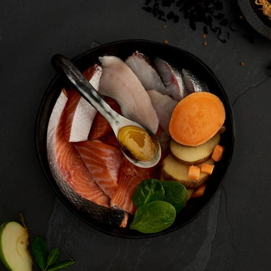 Canagan Dry Cat Food Scottish Salmon