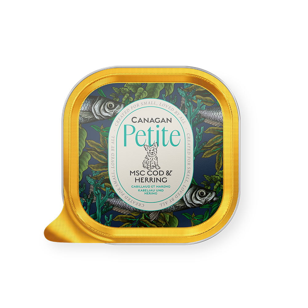 Canagan Petite Tray for Small Dog - MSC Cod/Herring 100g
